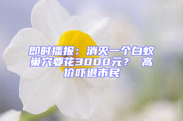 即時(shí)播報(bào):消滅一個(gè)白蟻巢穴要花3000元? 高價(jià)嚇退市民
