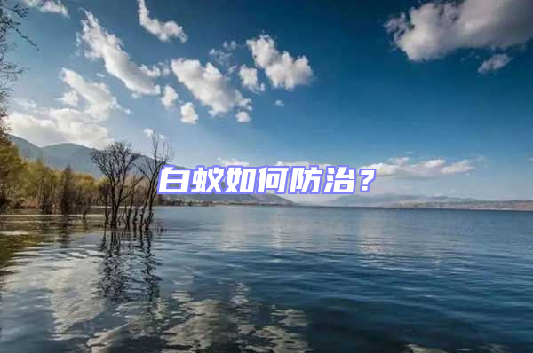 白蟻如何防治？
