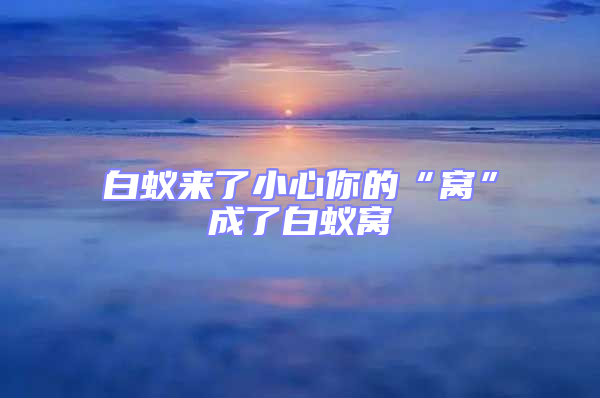 白蟻來了小心你的“窩”成了白蟻窩