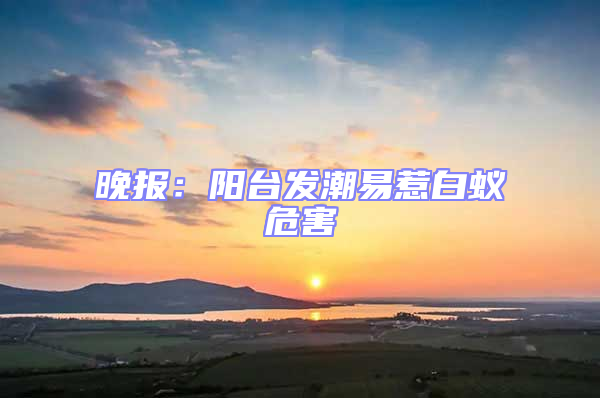晚報：陽臺發潮易惹白蟻危害