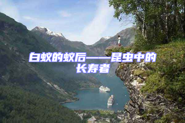 白蟻的蟻后——昆蟲中的長壽者