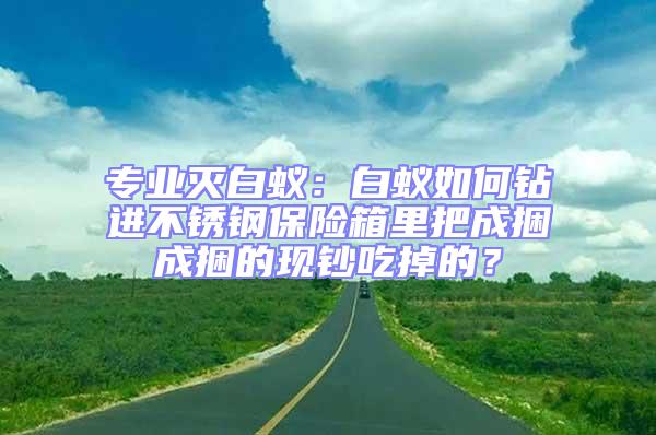 專業滅白蟻：白蟻如何鉆進不銹鋼保險箱里把成捆成捆的現鈔吃掉的？