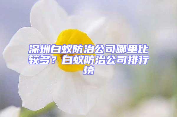 深圳白蟻防治公司哪里比較多？白蟻防治公司排行榜