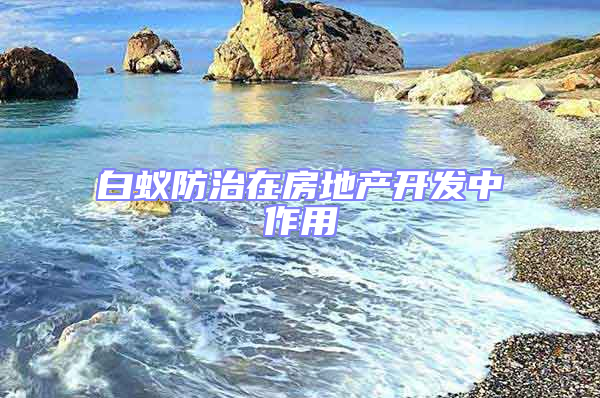 白蟻防治在房地產開發(fā)中作用