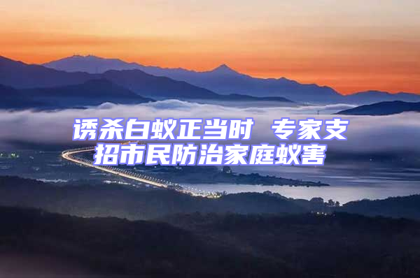 誘殺白蟻正當時 專家支招市民防治家庭蟻害