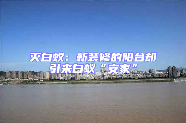 滅白蟻：新裝修的陽臺卻引來白蟻“安家”