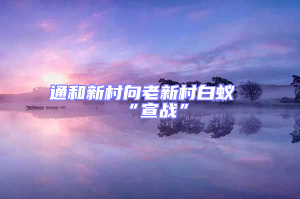通和新村向老新村白蟻“宣戰”
