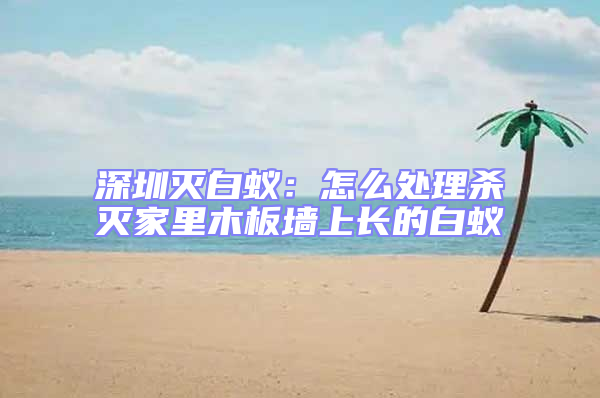深圳滅白蟻:怎么處理殺滅家里木板墻上長的白蟻