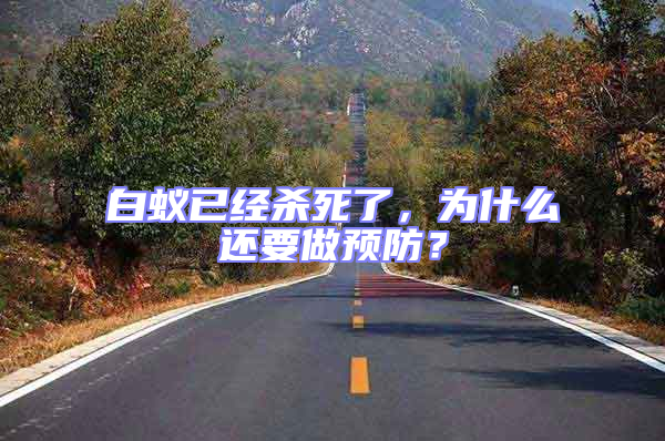 白蟻已經殺死了，為什么還要做預防？
