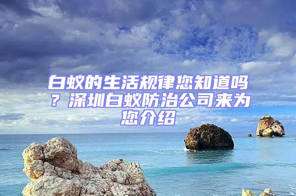 白蟻的生活規律您知道嗎？深圳白蟻防治公司來為您介紹