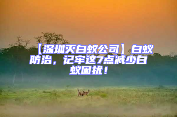 【深圳滅白蟻公司】白蟻防治，記牢這7點減少白蟻困擾！