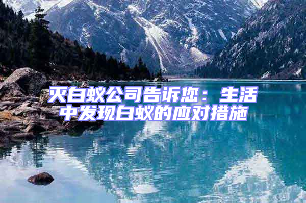 滅白蟻公司告訴您：生活中發現白蟻的應對措施