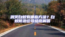 消滅白蟻有哪些方法?白蟻防治公司給您解答
