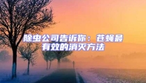 除蟲公司告訴你:蒼蠅最有效的消滅方法