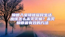 蟑螂入室侵擾居民生活,應該怎么殺滅滅蟑?殺滅蟑螂最有效的方法