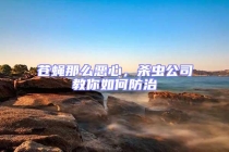 蒼蠅那么惡心，殺蟲公司教你如何防治