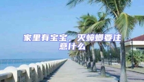 家里有寶寶，滅蟑螂要注意什么