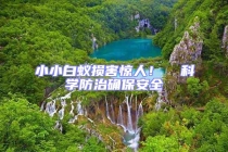 小小白蟻損害驚人！  科學防治確保安全