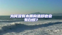 為何沒有木質構造卻也會有白蟻?