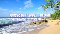 沒有蚊蠅?很好,但這些小飛蟲是怎么回事……