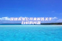 深圳殺蟲公司來解答關(guān)于白蟻的問題