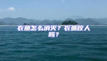 衣魚怎么消滅?衣魚咬人嗎?