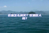 衣魚怎么消滅？衣魚咬人嗎？