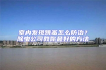 室內發現跳蚤怎么防治？除蟲公司教你最好的方法