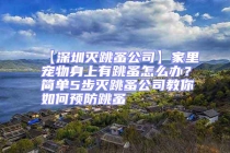 【深圳滅跳蚤公司】家里寵物身上有跳蚤怎么辦？簡單5步滅跳蚤公司教你如何預防跳蚤