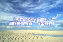 【滅老鼠公司】驚險！老鼠咬斷燃氣管，險出意外！