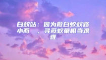 白蟻站:因為散白蟻蟻路小而骫骳,尋覓蟻巢相當(dāng)艱難