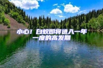 小心！白蟻即將進(jìn)入一年一度的高發(fā)期