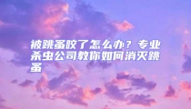 被跳蚤咬了怎么辦?專業殺蟲公司教你如何消滅跳蚤