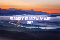 老鼠吃了老鼠藥是什么體驗？