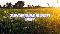 怎樣合理使用殺蟲滅鼠藥劑呢？