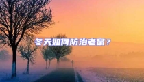 冬天如何防治老鼠？
