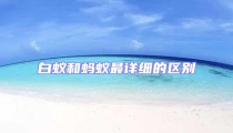 白蟻和螞蟻最詳細的區(qū)別