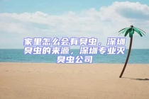 家里怎么會有臭蟲，深圳臭蟲的來源，深圳專業滅臭蟲公司