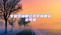 專業滅蟑螂公司滅蟑螂安全可靠