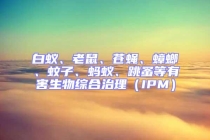 白蟻、老鼠、蒼蠅、蟑螂、蚊子、螞蟻、跳蚤等有害生物綜合治理（IPM）