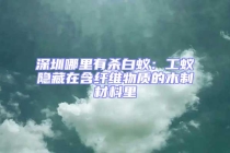 深圳哪里有殺白蟻：工蟻隱藏在含纖維物質(zhì)的木制材料里