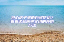 擔(dān)心房子里的白蟻防治？看看這些簡(jiǎn)單實(shí)用的預(yù)防方法