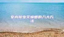 室內(nèi)除蟲滅蟑螂的八大方法