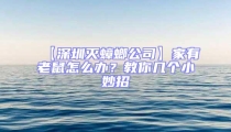 【深圳滅蟑螂公司】家有老鼠怎么辦？教你幾個小妙招