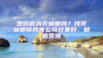 想徹底消滅蟑螂嗎?找滅蟑螂除四害公司效果好、徹底滅絕