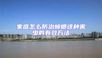 家庭怎么防治蟑螂這種害蟲(chóng)的有效方法