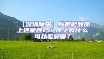 【深圳除蟲】蟑螂爬到床上還能睡嗎?床上放什么可以驅(qū)蟑螂?