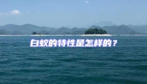 白蟻的特性是怎樣的?
