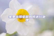 家里出現(xiàn)老鼠如何進行處理