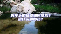 火車上的蟑螂如何防治？用什么蟑螂藥？